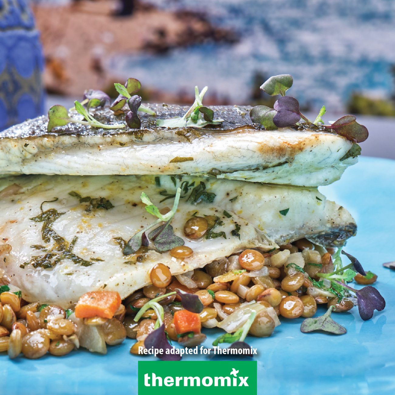 Sea bream fillets marinated with lemon and parsley – Thermomix