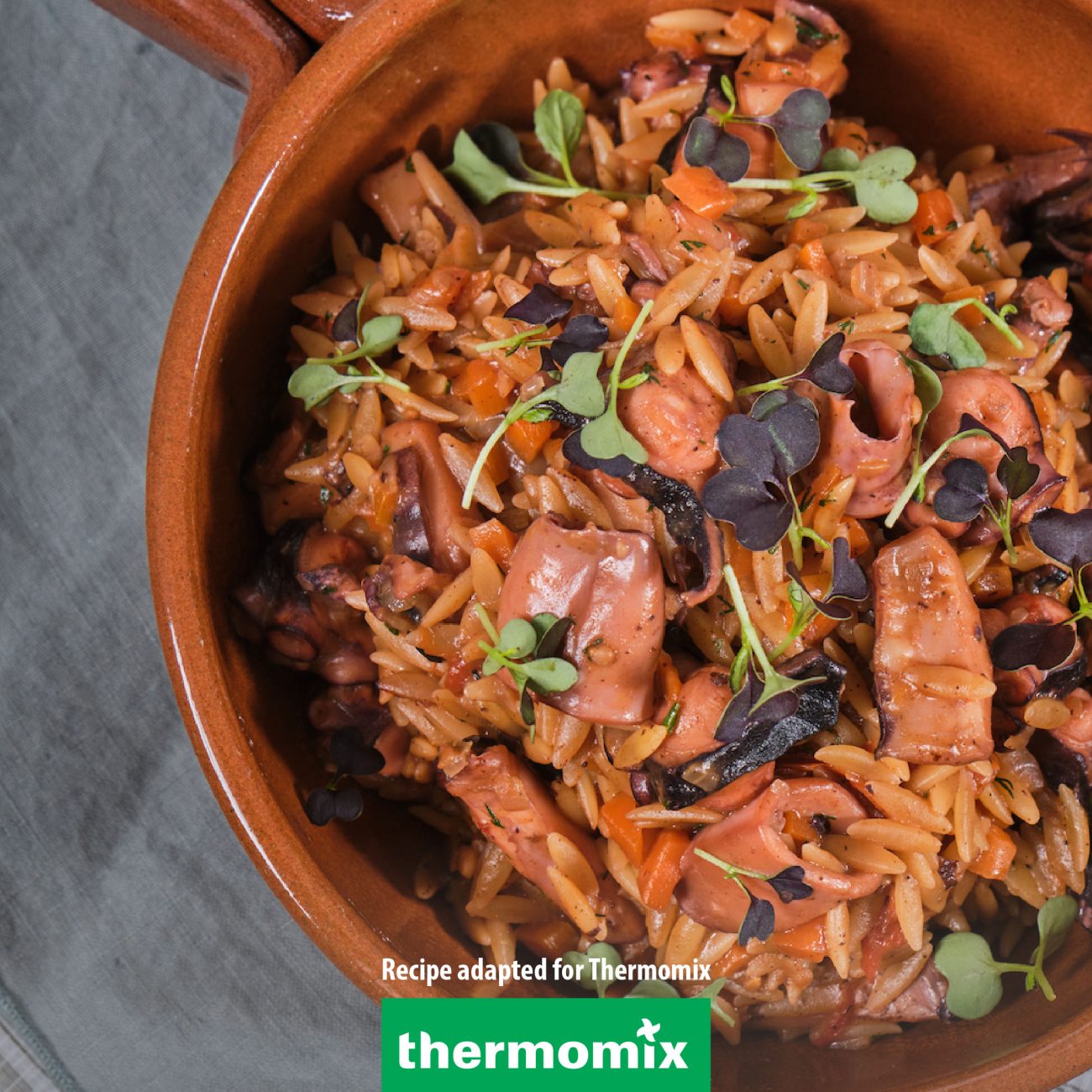 Orzo(Giouvetsi) with seafood – Thermomix